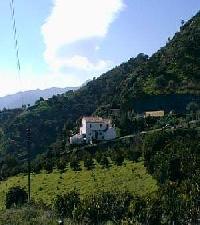 Best offers for La Teja Alora